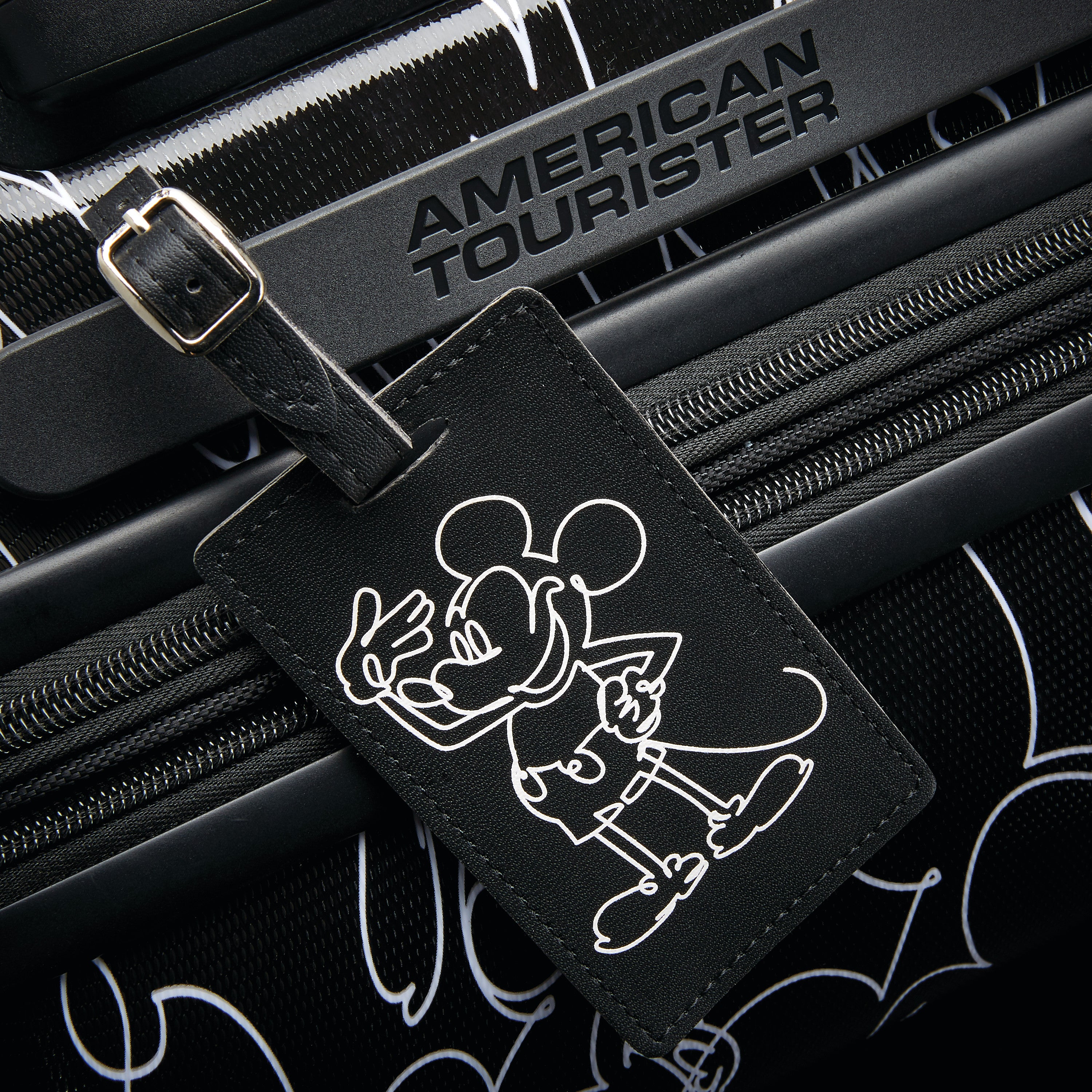 Disney Mickey Mouse Multi-Face Softside 2-Piece Luggage Set