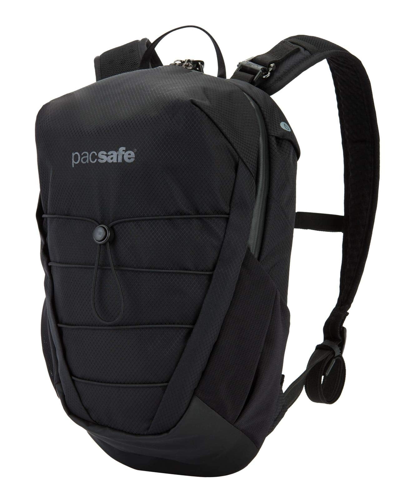 Pacsafe venturesafe x12 review best sale